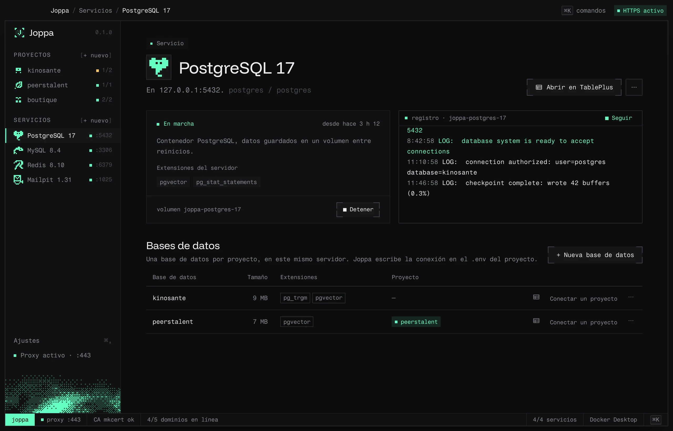La página de PostgreSQL 17: estado, extensiones del servidor, registro y bases de datos de los proyectos