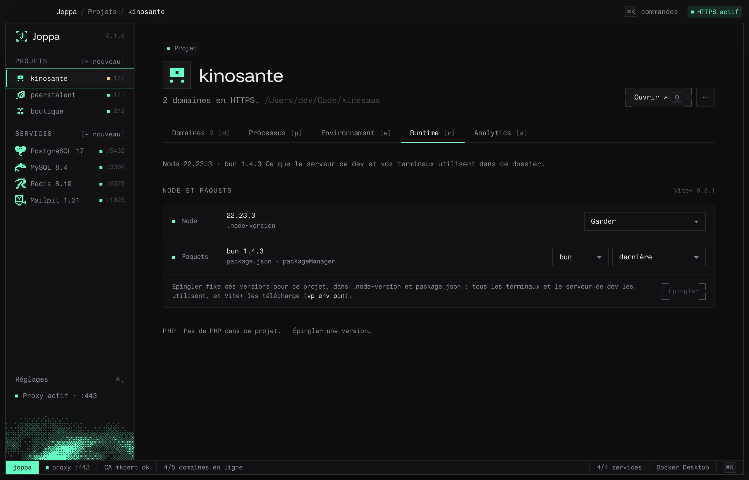 L’onglet Runtime : versions de Node, du gestionnaire de paquets et de PHP du projet