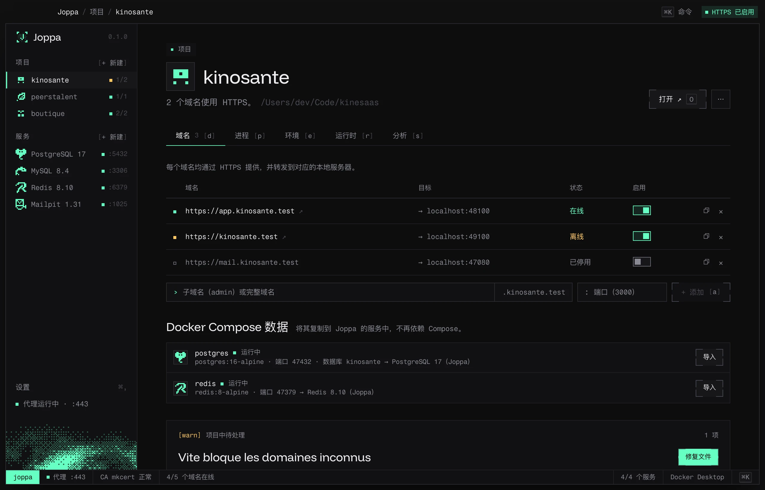 项目的域名标签页,包含 Docker Compose 数据部分和一项待修复的 Vite 设置