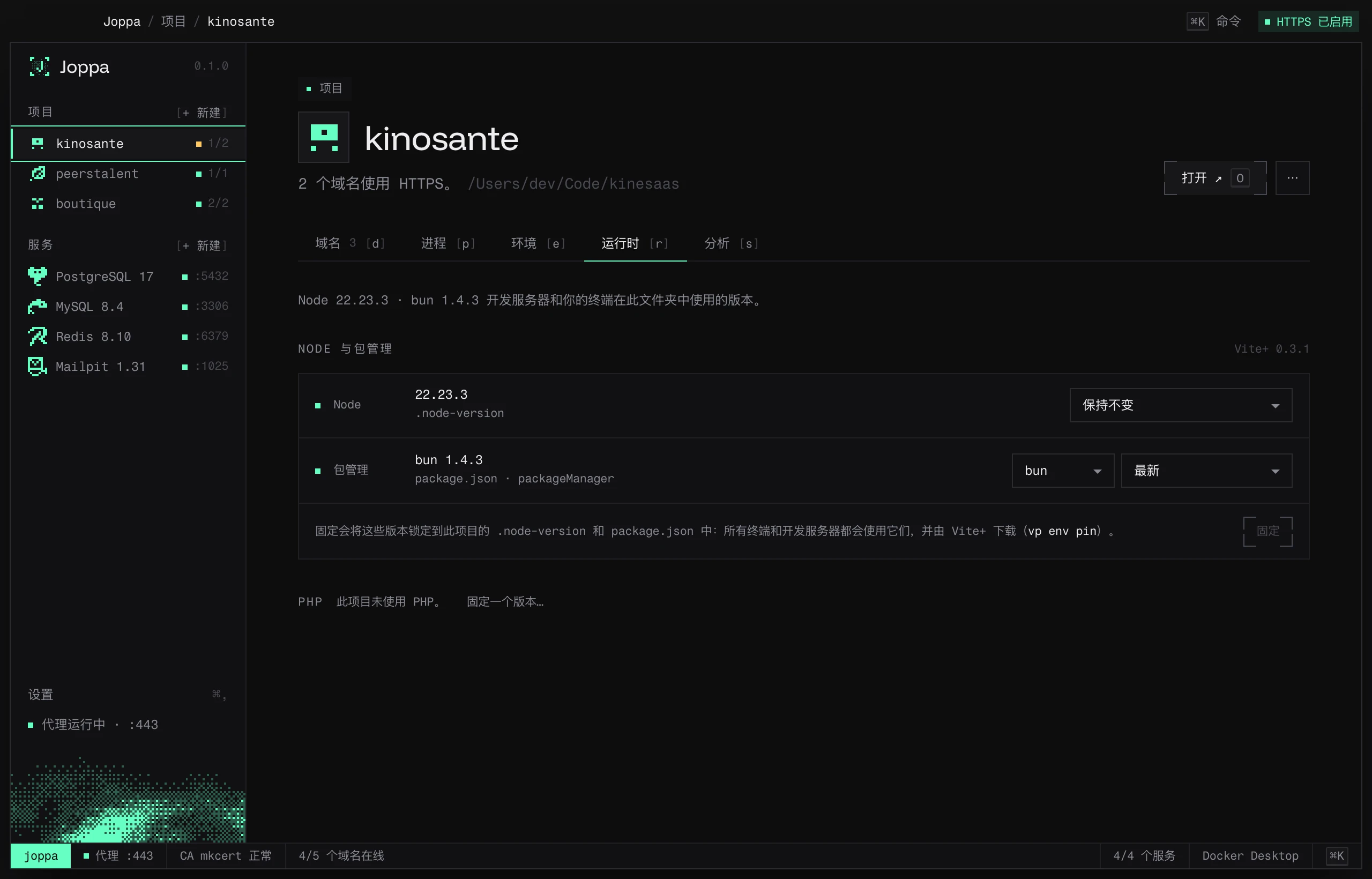 运行时标签页:项目的 Node、包管理器和 PHP 版本